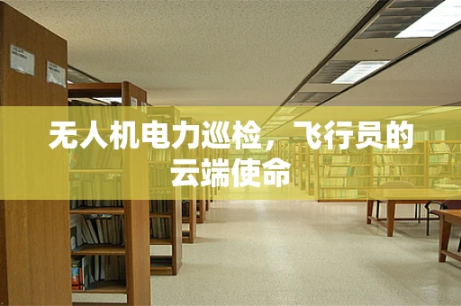 无人机电力巡检，飞行员的云端使命