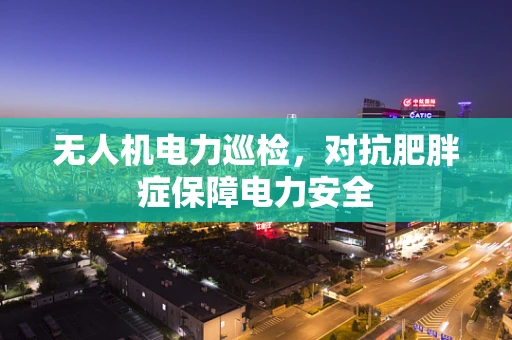 无人机电力巡检，对抗肥胖症保障电力安全