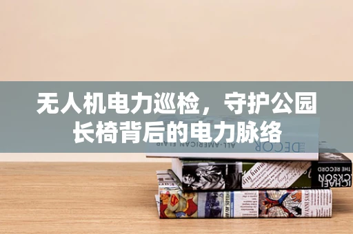 无人机电力巡检，守护公园长椅背后的电力脉络