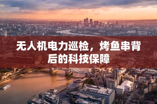 无人机电力巡检，烤鱼串背后的科技保障