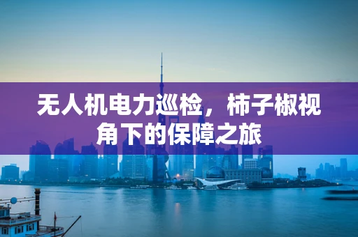 无人机电力巡检，柿子椒视角下的保障之旅