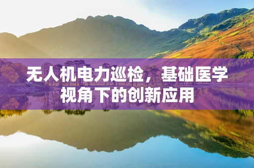 无人机电力巡检，基础医学视角下的创新应用