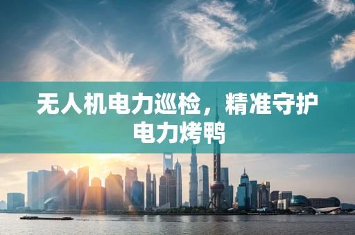 无人机电力巡检，精准守护电力烤鸭