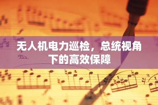 无人机电力巡检，总统视角下的高效保障