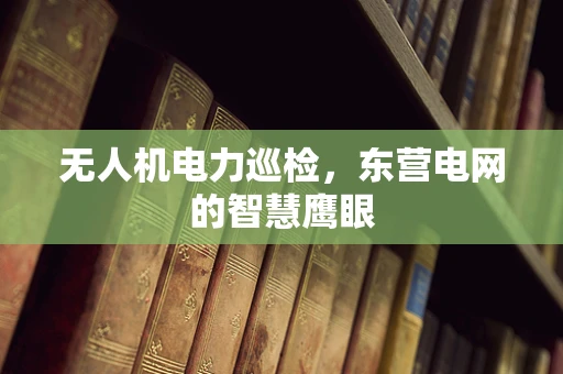 无人机电力巡检，东营电网的智慧鹰眼