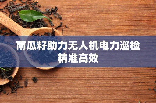 南瓜籽助力无人机电力巡检精准高效