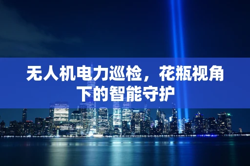 无人机电力巡检，花瓶视角下的智能守护