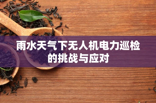 雨水天气下无人机电力巡检的挑战与应对