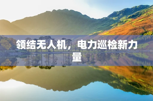 领结无人机，电力巡检新力量