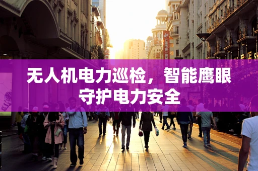 无人机电力巡检，智能鹰眼守护电力安全