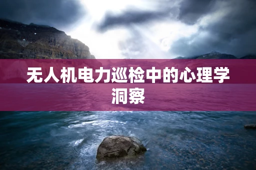 无人机电力巡检中的心理学洞察