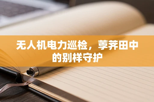 无人机电力巡检，荸荠田中的别样守护