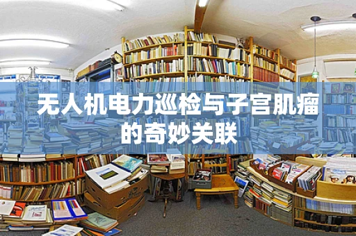 无人机电力巡检与子宫肌瘤的奇妙关联
